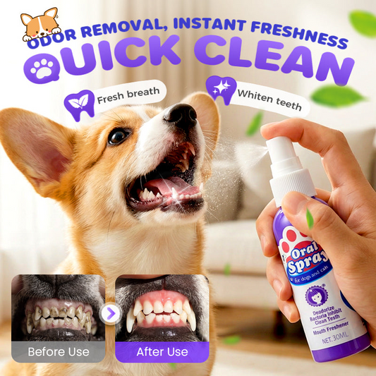 Pet Oral Care Spray – Fresh Breath & Healthy Teeth, No Brushing Needed!