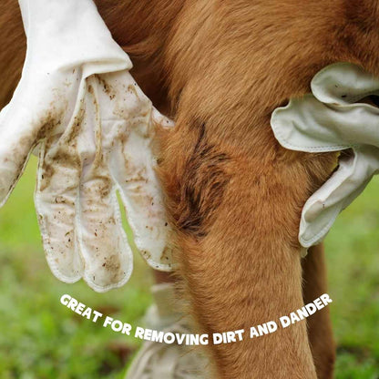 Glove cleaning wipes for pets