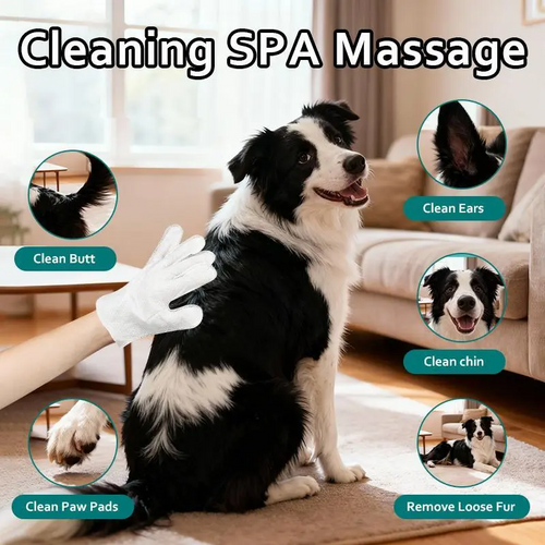Glove cleaning wipes for pets