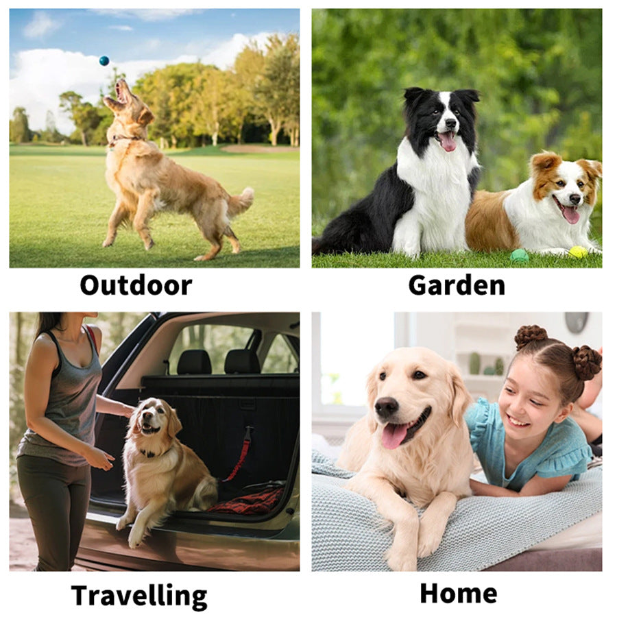 Glove cleaning wipes for pets