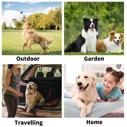 Glove cleaning wipes for pets